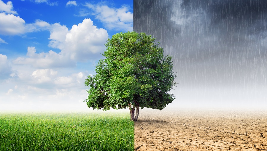 Weather Triggers API Part 1 | What is the Weather Triggers API